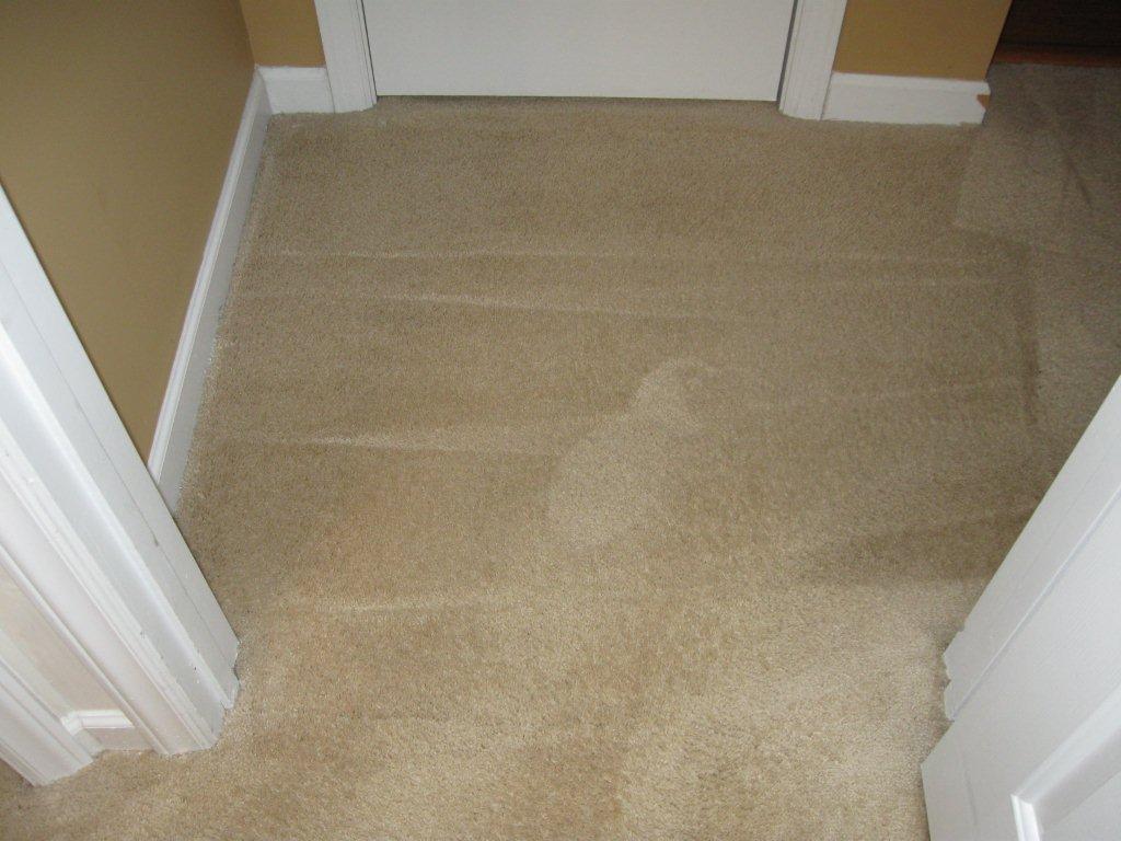 J & S Carpet Specialist LLC Raleigh NC 27615 9195759348